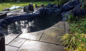 Patio pond