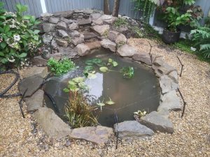 gallery20