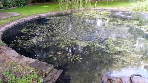 pond12