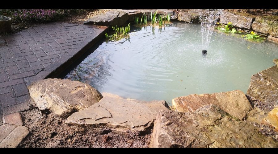 pond building Cheshire
